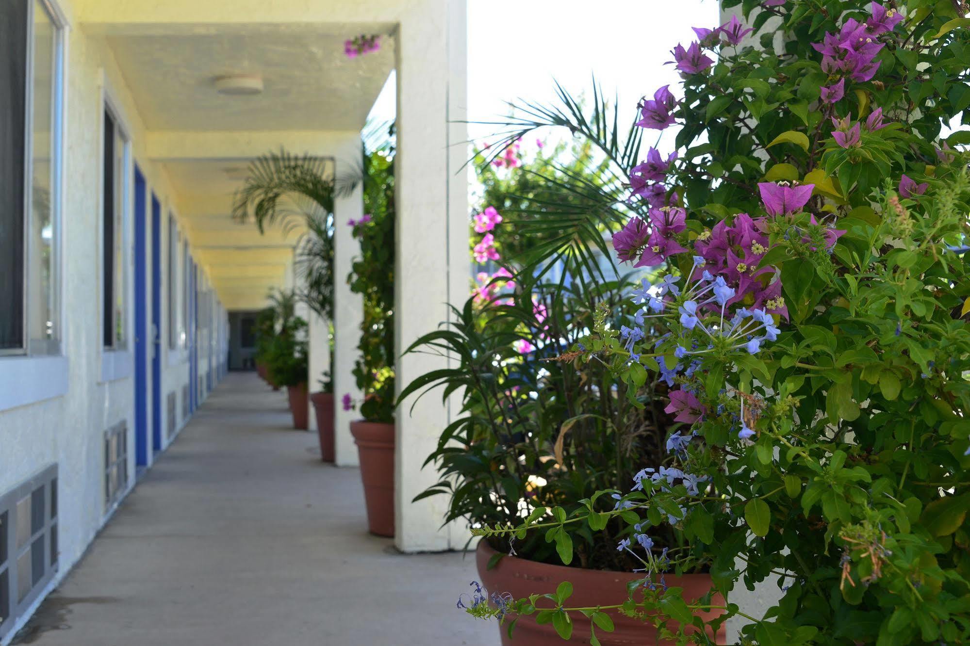 Americas Best Value Inn Bradenton-Sarasota Екстериор снимка
